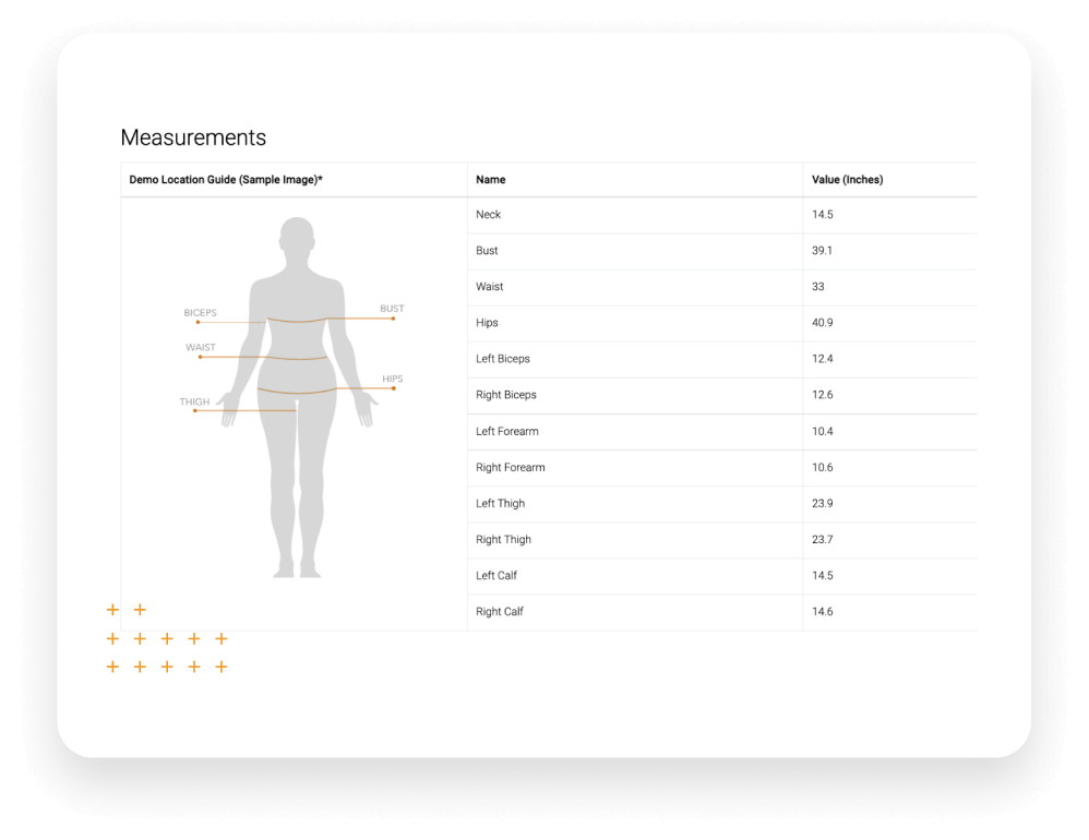 Detailed body measurements dashboard with precise inch measurements